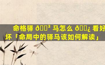 命格驿 🐳 马怎么 🌿 看好坏「命局中的驿马该如何解读」